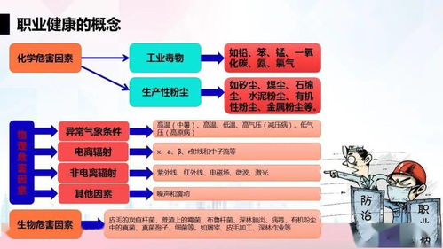 升級(jí)版職業(yè)安全與健康管理培訓(xùn) 構(gòu)建全面健康管理體系，賦能員工與組織