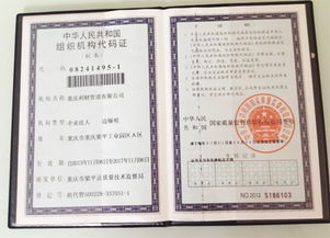 重慶利財管道正式注冊成立